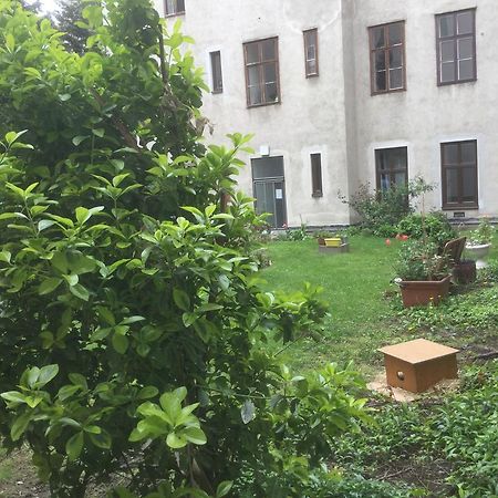 Ajo Central Wien Ngoại thất bức ảnh